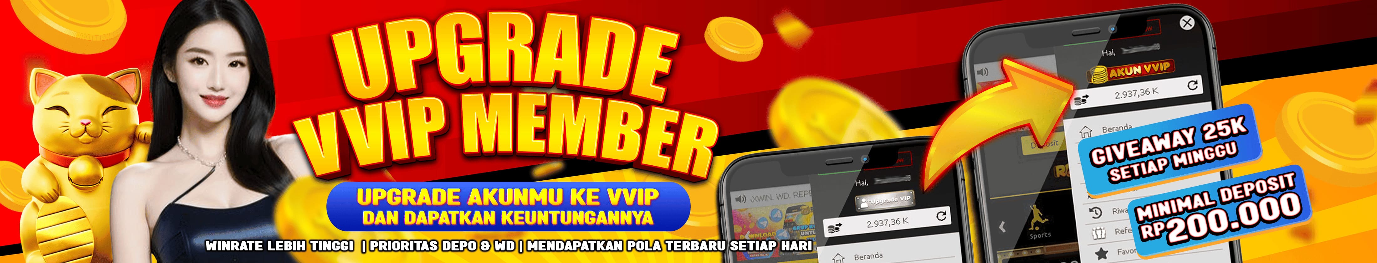 UPDATE AKUN KE VVIP PRO
